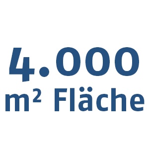 Fläche